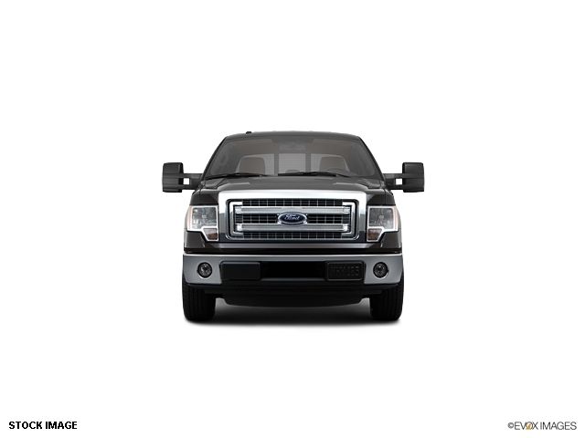 2013 Ford F-150  - 10855944 - 1
