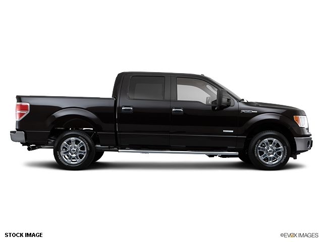 2013 Ford F-150  - 10855944 - 3