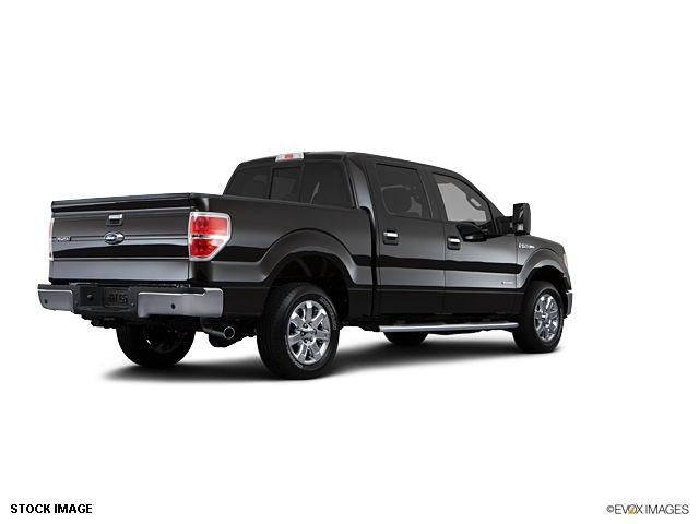 2013 Ford F-150  - 10855944 - 4