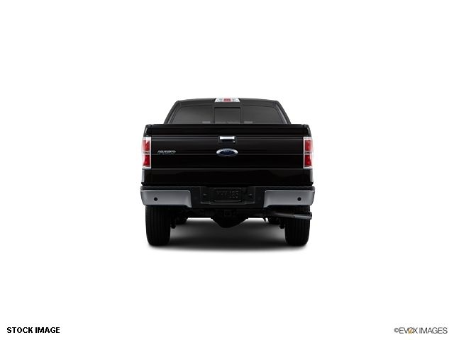 2013 Ford F-150  - 10855944 - 5
