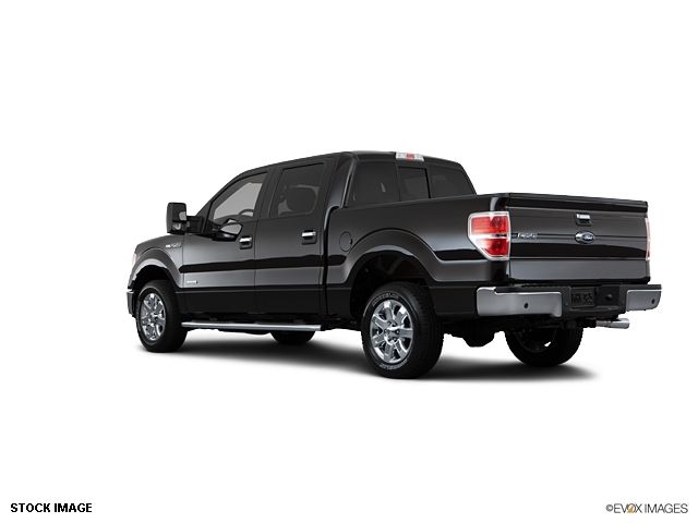 2013 Ford F-150  - 10855944 - 6