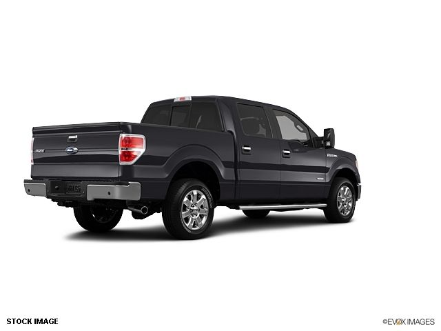 2013 Ford F-150  - 10856134 - 1