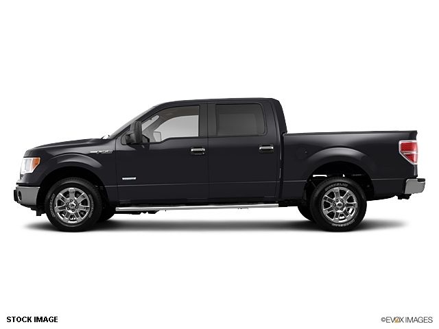 2013 Ford F-150  - 10856134 - 2