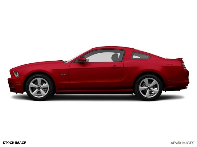 2014 Ford Mustang 2dr Cpe GT - 10856200 - 2