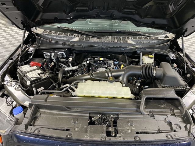 2023 Ford F-150  - 22823466 - 16