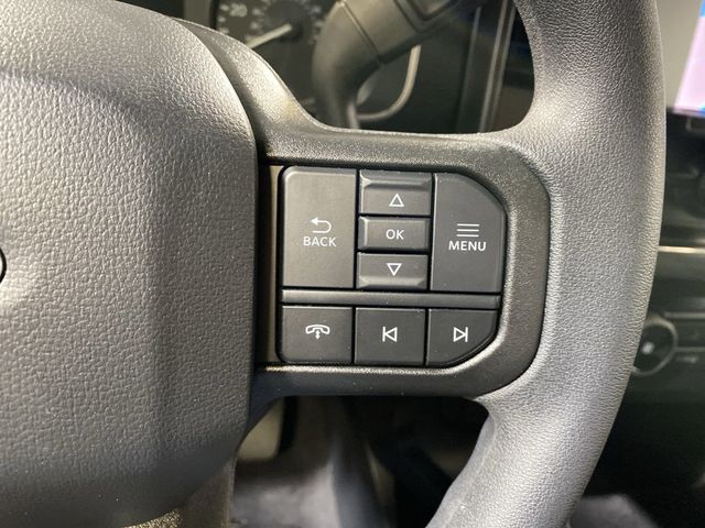 2023 Ford F-150  - 22823466 - 38