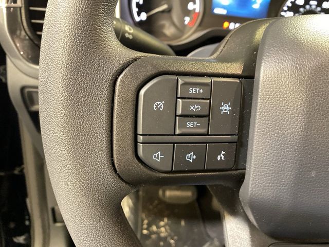 2023 Ford F-150  - 22823466 - 39
