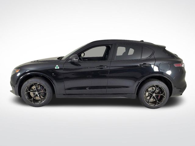 2024 Alfa Romeo Stelvio QUADRIFOGLIO AWD - 22212378 - 1