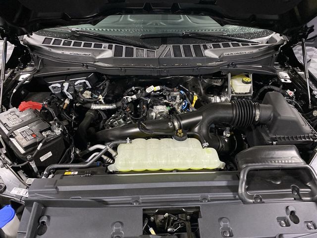 2024 Ford F-150 XLT 2WD SuperCrew 5.5' Box - 22526776 - 16