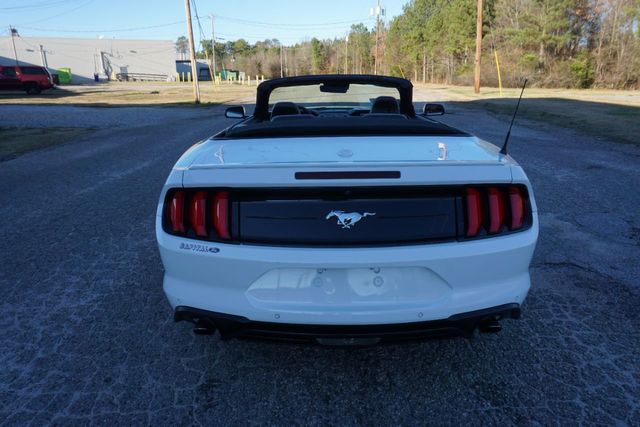 2024 Ford Mustang EcoBoost Premium Fastback - 22232583 - 2
