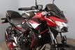 2024 Kawasaki Z650 ABS New 2024 Color! - 22211238 - 0