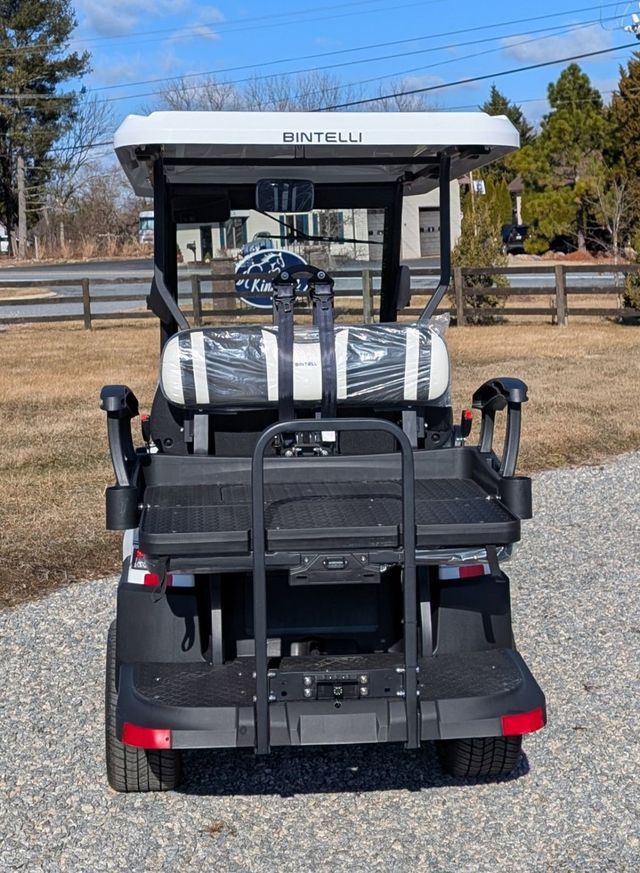 2025 Bintelli 4 Passenger Beyond Lite  - 22774907 - 6