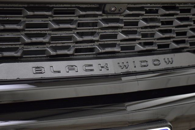 2025 Chevrolet Silverado 1500 4WD Crew Cab 147" RST - 22905411 - 11