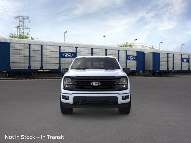 2025 Ford F-150 XLT - 22921753 - 6