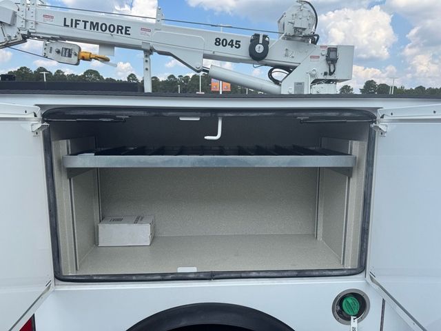 2025 Ford Super Duty F-550 DRW  - 22901274 - 20