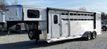 2025 Shadow 5 Horse Trainer Series  - 22740558 - 0