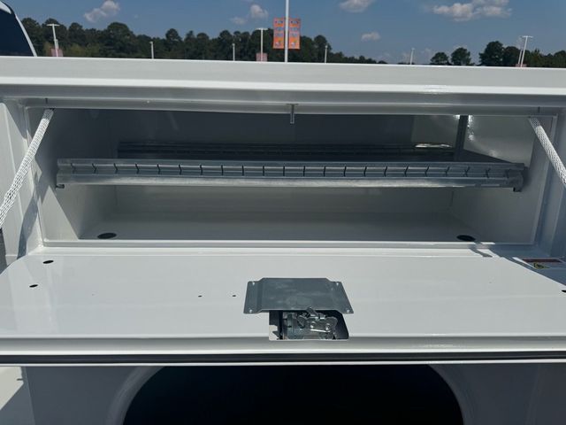 2026 Ford Super Duty F-350 DRW Cab-Chassis  - 22910282 - 14