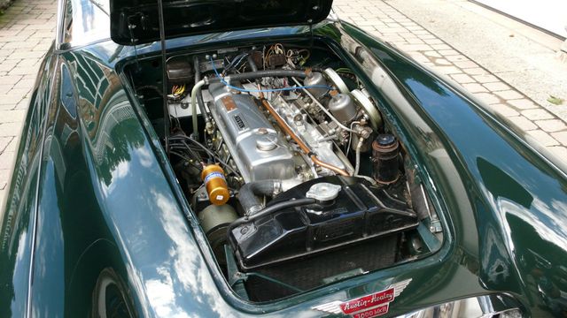1963 Austin Healey 3000 BJ7 MKII SPORT 2 Plus 2  - 18175617 - 4