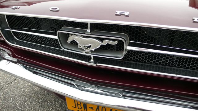 1965 Ford MUSTANG  - 18546099 - 15