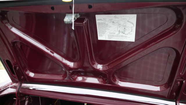 1965 Ford MUSTANG  - 18546099 - 62