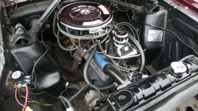 1965 Ford MUSTANG  - 18546099 - 74