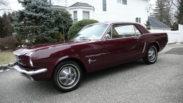 1965 Ford MUSTANG  - 18546099 - 7