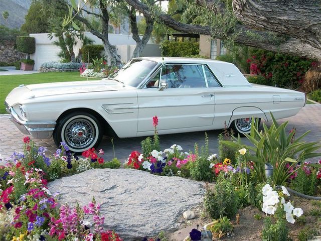1965 Ford THUNDERBIRD Hardtop - 7775700 - 48
