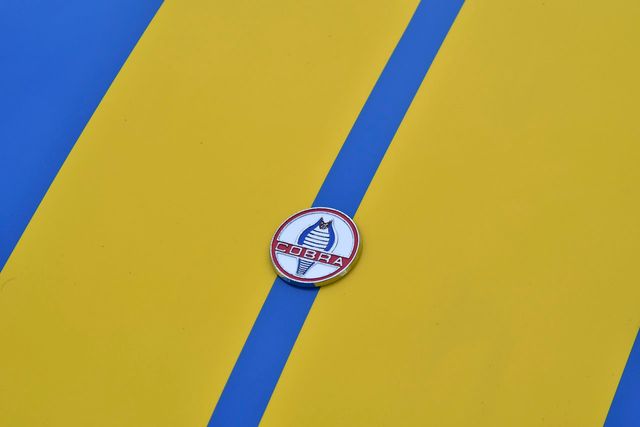 1965 Shelby COBRA  - 22690717 - 8