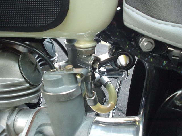1966 TRIUMPH BONNEVILLE T120R  - 1235251 - 32