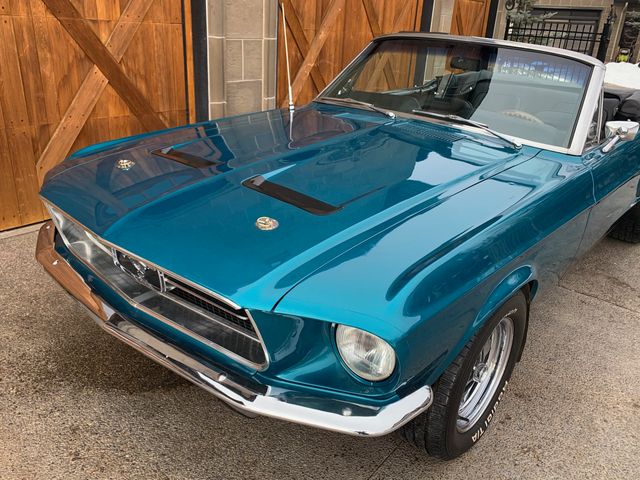 1967 Ford MUSTANG CONVERTIBLE NO RESERVE - 20519343 - 65