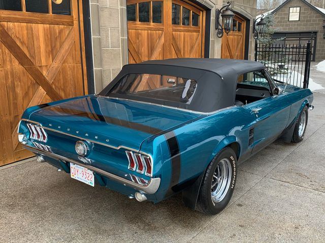 1967 Ford MUSTANG CONVERTIBLE NO RESERVE - 20519343 - 6