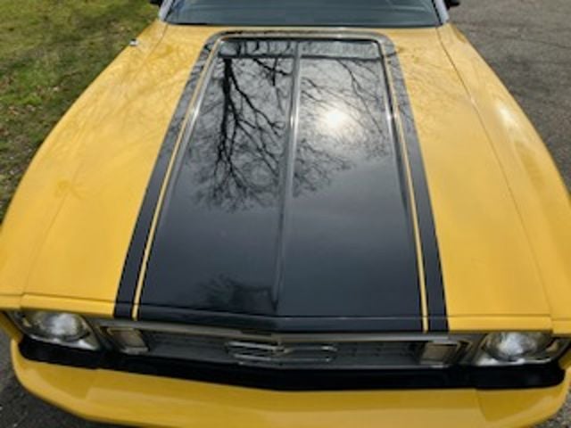 1973 Ford Mustang For Sale - 22411730 - 13