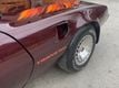1980 Pontiac TRANS AM TURBO NO RESERVE - 20702120 - 65