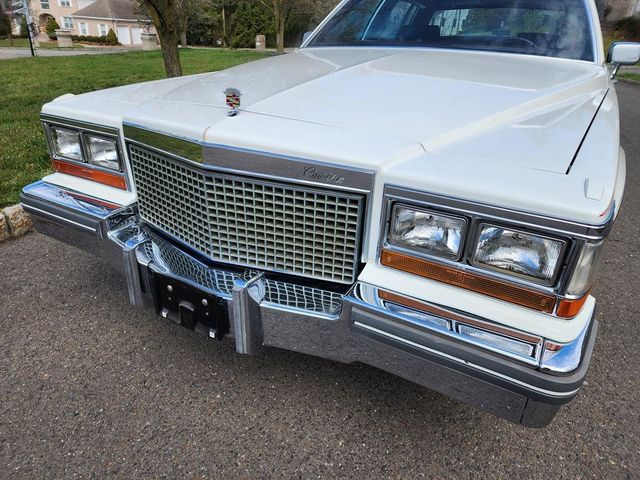 1981 Cadillac DeVille Base Trim - 21879690 - 27