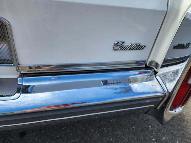 1981 Cadillac DeVille Base Trim - 21879690 - 51