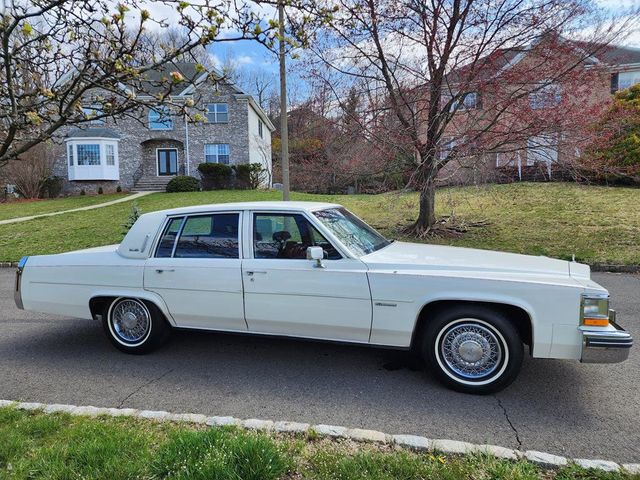 1981 Cadillac DeVille Base Trim - 21879690 - 5