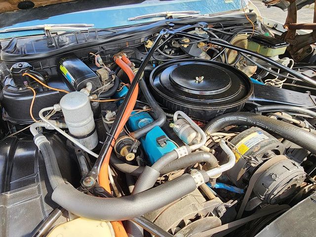 1981 Cadillac DeVille Base Trim - 21879690 - 62
