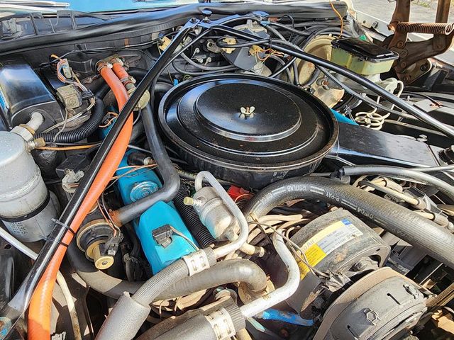 1981 Cadillac DeVille Base Trim - 21879690 - 63