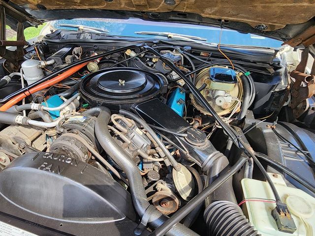 1981 Cadillac DeVille Base Trim - 21879690 - 6
