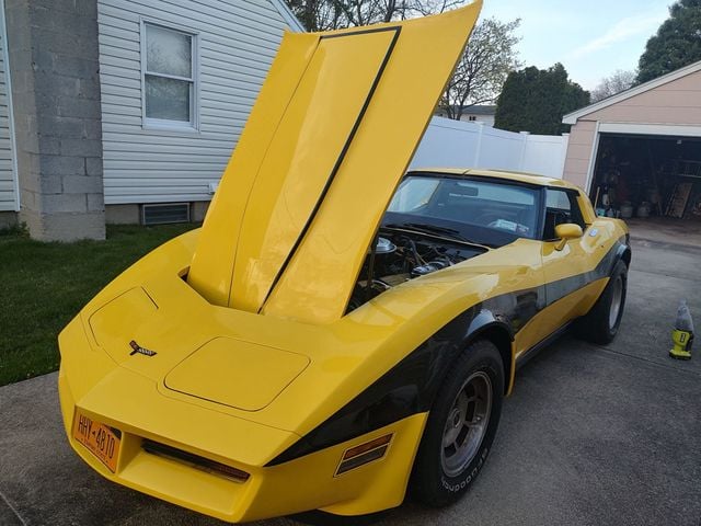 1981 Chevrolet Corvette Coupe For Sale - 22405881 - 18