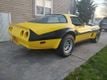 1981 Chevrolet Corvette Coupe For Sale - 22405881 - 3