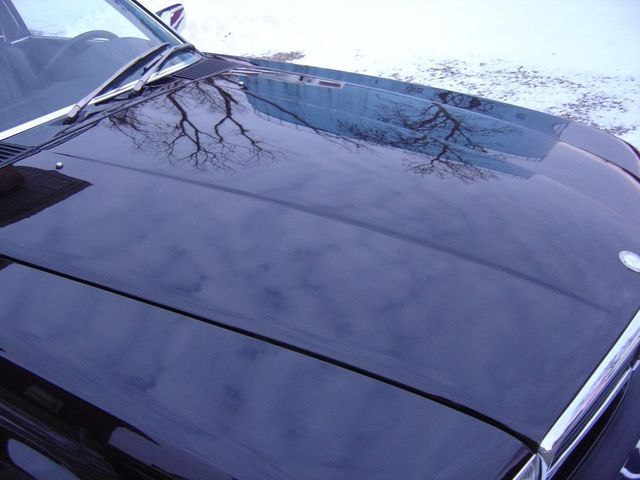 1989 Mercedes-Benz 560 Series SL - 11614492 - 13