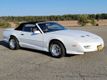 1991 Pontiac Trans Am  - 20738493 - 1