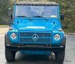 1992 Mercedes-Benz 250GD Wolf For Sale - 22285204 - 18