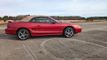 1996 Ford Mustang Cobra Convertible  - 22245453 - 0