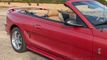 1996 Ford Mustang Cobra Convertible  - 22245453 - 14