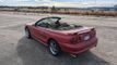 1996 Ford Mustang Cobra Convertible  - 22245453 - 5