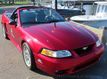 1999 Ford Mustang 2dr Convertible SVT Cobra - 22103043 - 17
