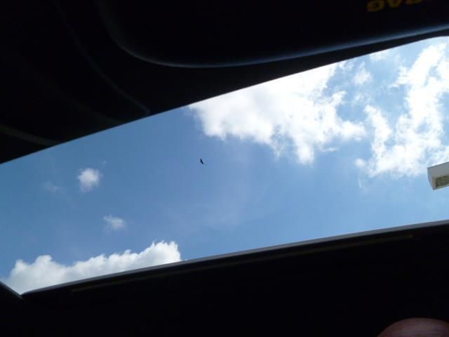 2000 Porsche 911 Carrera 2dr Carrera 4 Coupe w/Tiptronic - 13721644 - 10