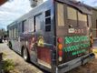 2002 International Bus/Food truck  - 22407474 - 5